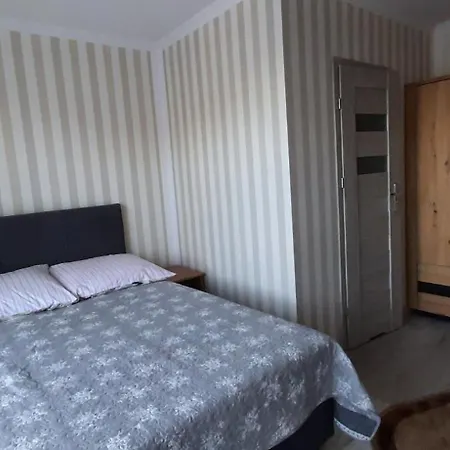 Homestay Magnat