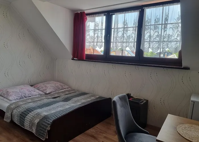 Magnat דז'ווירז'ינו