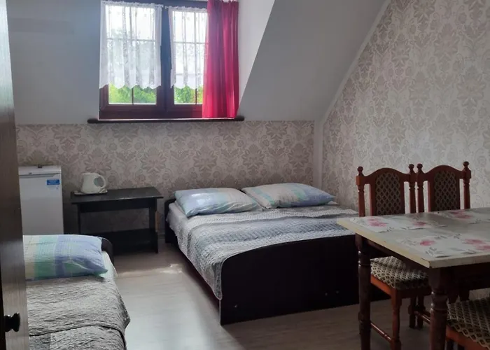 Magnat * דז'ווירז'ינו